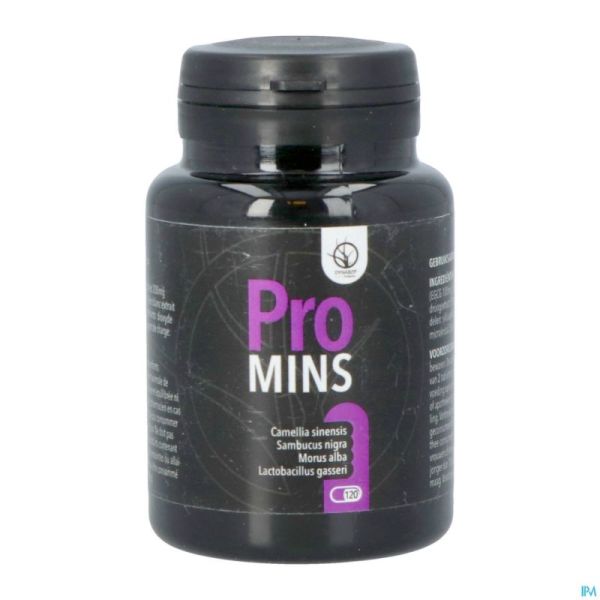 Promins Comprimés 120