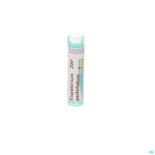Eupatorium Perfoliatum 200k Gr 4g Boiron