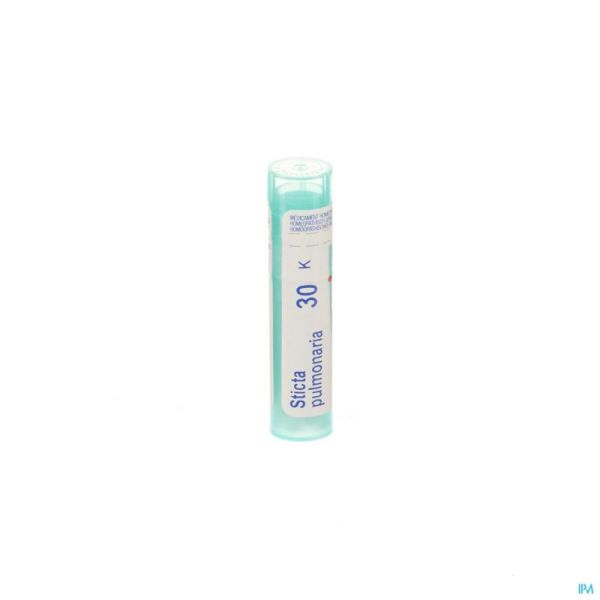 Boiron Granules Sticta Pulmonaria 30k 4 G