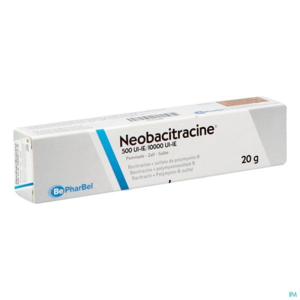 Neobacitracine Ung Derm 20 G 