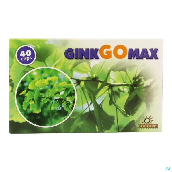 Ginkgomax 40 Gélules