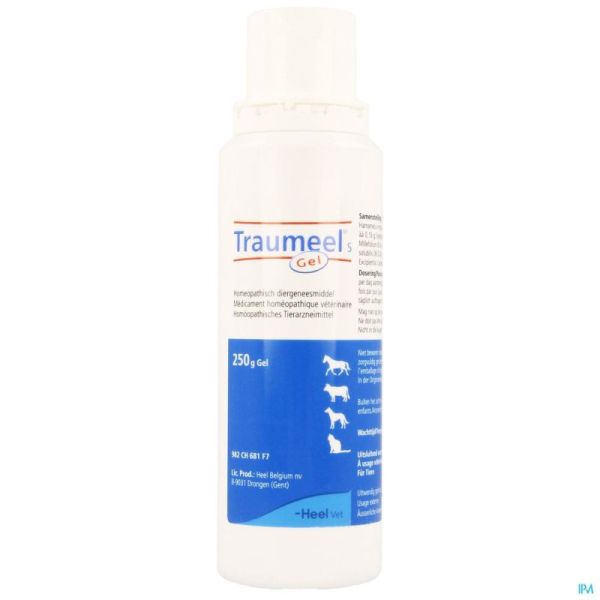 Heel Traumeel S Vétérinaire Gel 250 G