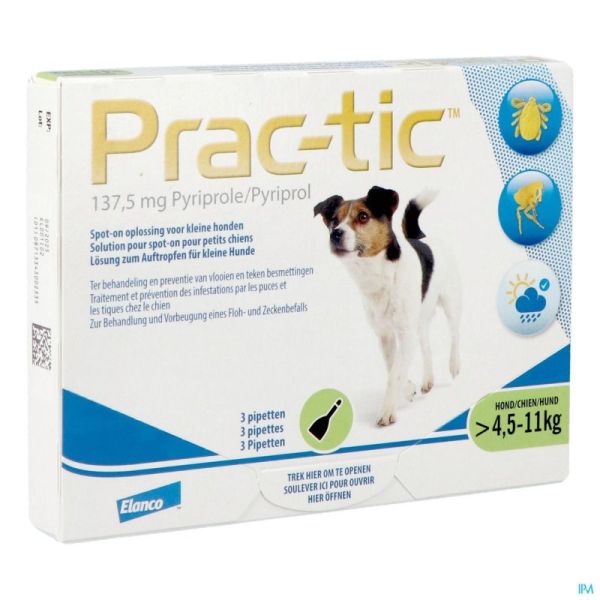 Prac-tic Spot-on A/puce-tiq. Petit Chien Pip.1x3