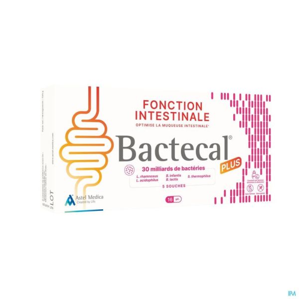 Bactecal Plus Gélules 16