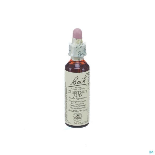 Bach Fleurs Chestnut Bud 3411 20 Ml