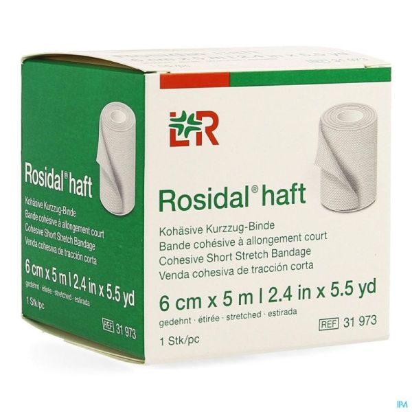 Rosidal Haft Bande Cohesive 6cmx5m 31973