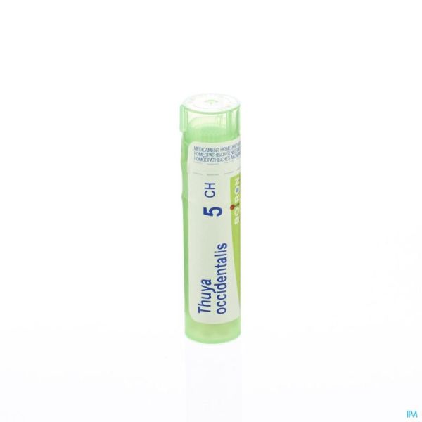 Boiron Granules Thuya Occidentalis 5ch 4 G