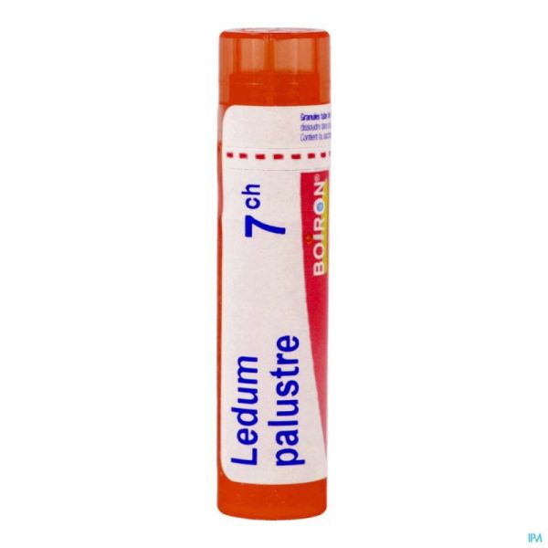 Ledum Palustre 7ch Gr 4g Boiron