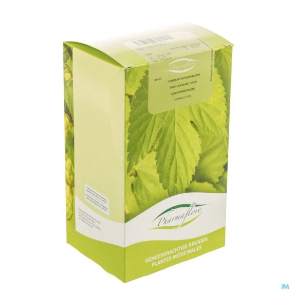 Bouillon Blanc Fleur Bt Pharmaflore 100 G