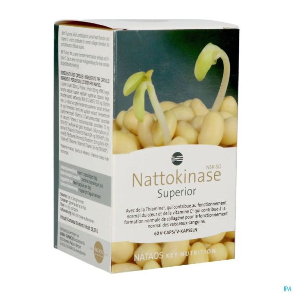 Nattokinase Nsk-sd Gélules 60x100mg
