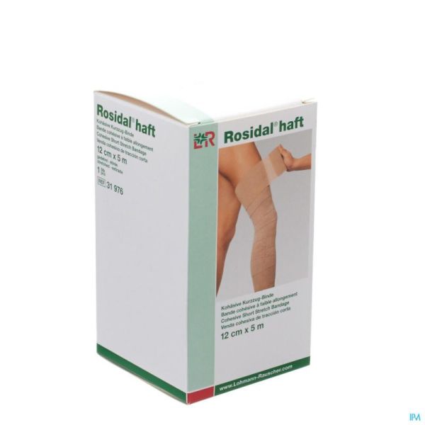 Rosidal Haft Bande Cohesive 12cmx5m 3197