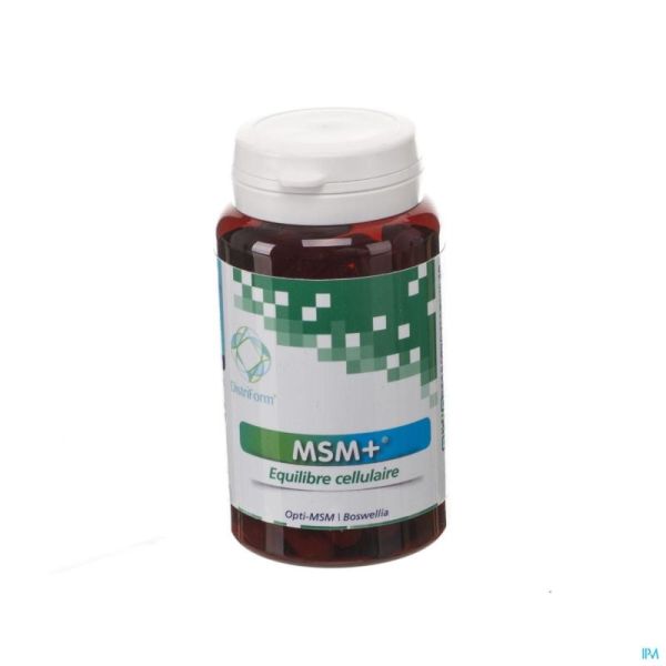 Msm+ Gel Flacon 60