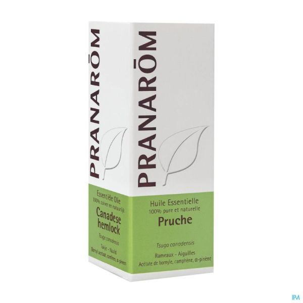 Pruche Hle Essentielle Flacon 5ml Pranarom