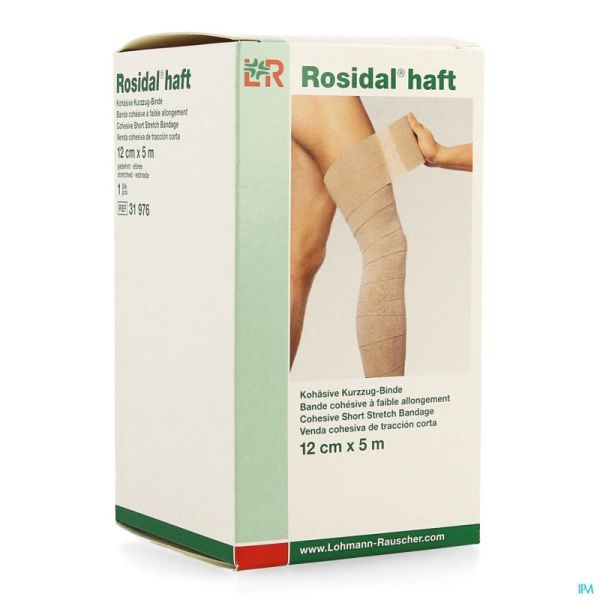Rosidal Haft Bande Cohesive 12cmx5m 3197