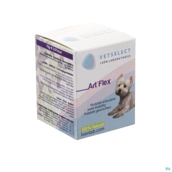 Artflex Vétérinaire 70 G