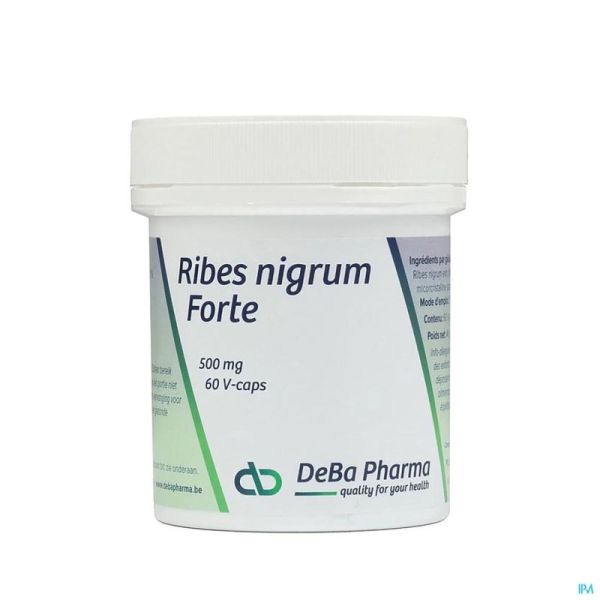 Ribes Nigrum Fort Deba 60 Gélules 500 Mg