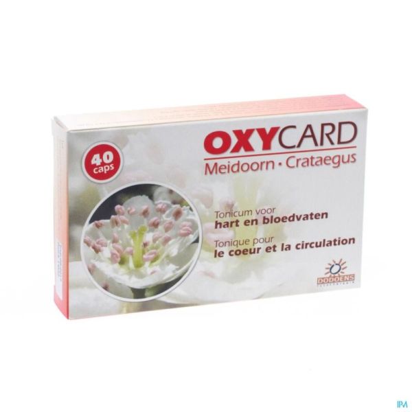 Oxycard 40 Gélules 300 Mg