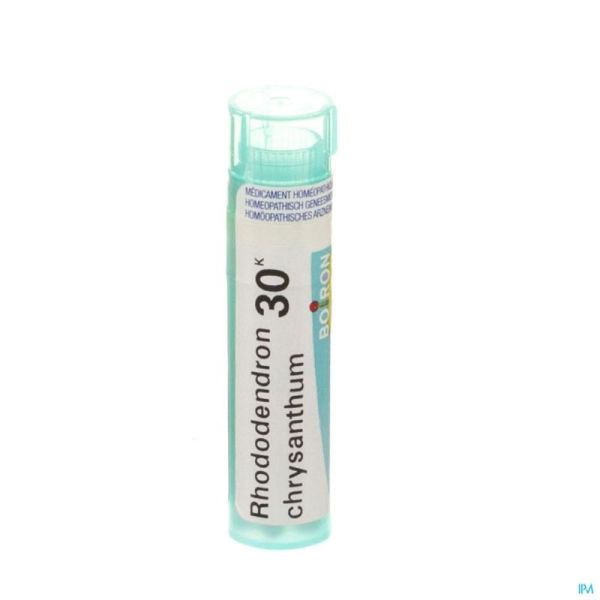 Boiron Granules Rhododendron 30k 4 G