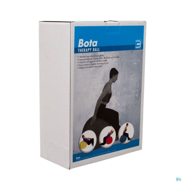 Jobri Exerswiss Therapy Ballon 65cm 32300503