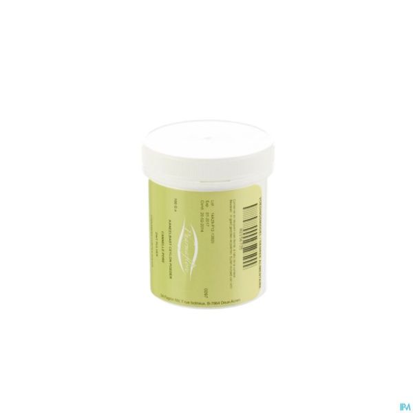Kaneel Bast Ceylon Pdr 100g Fag